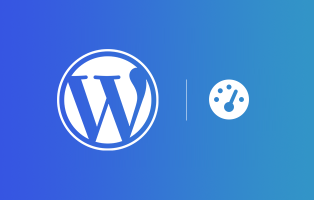 WordPress Site Hızlandırma